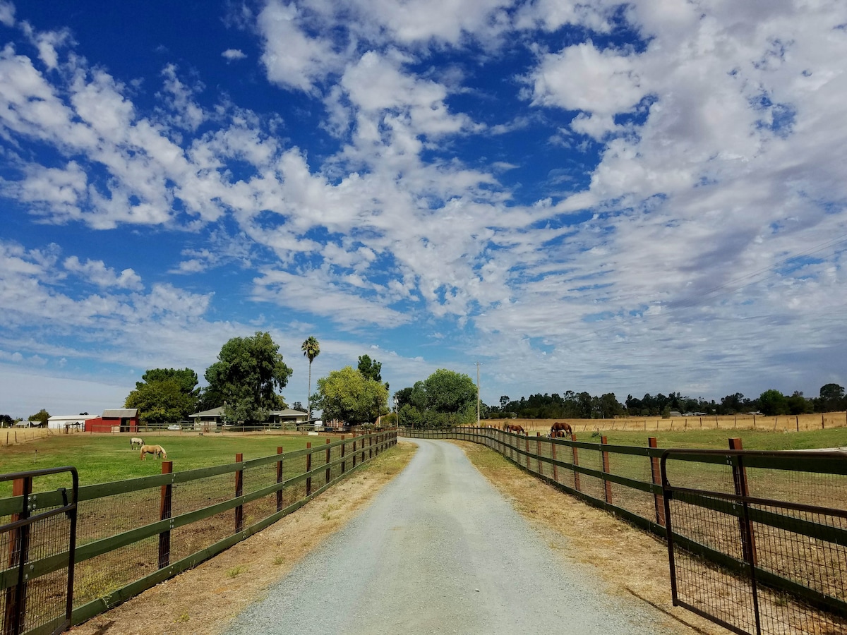 Slice Of Heaven Ranch & Rescue