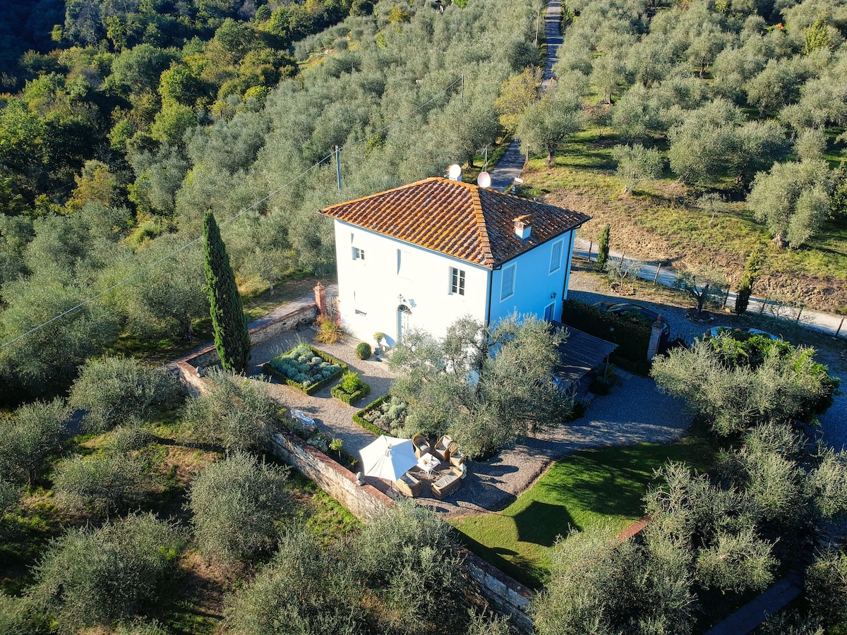 Charming Villa in Tuscany