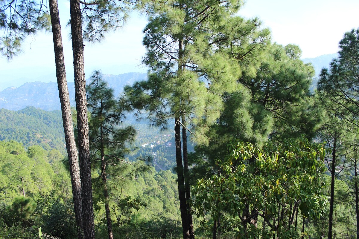 松树徽章东梅纳吉（ Pine Crest East Ménage ） -风景如画的隐蔽之地