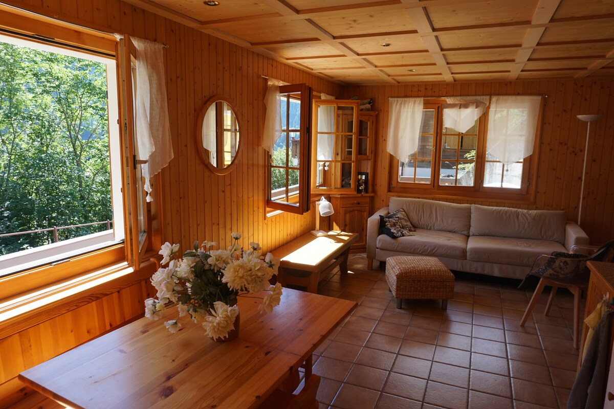 Cozy and comfortable apartment in Champery