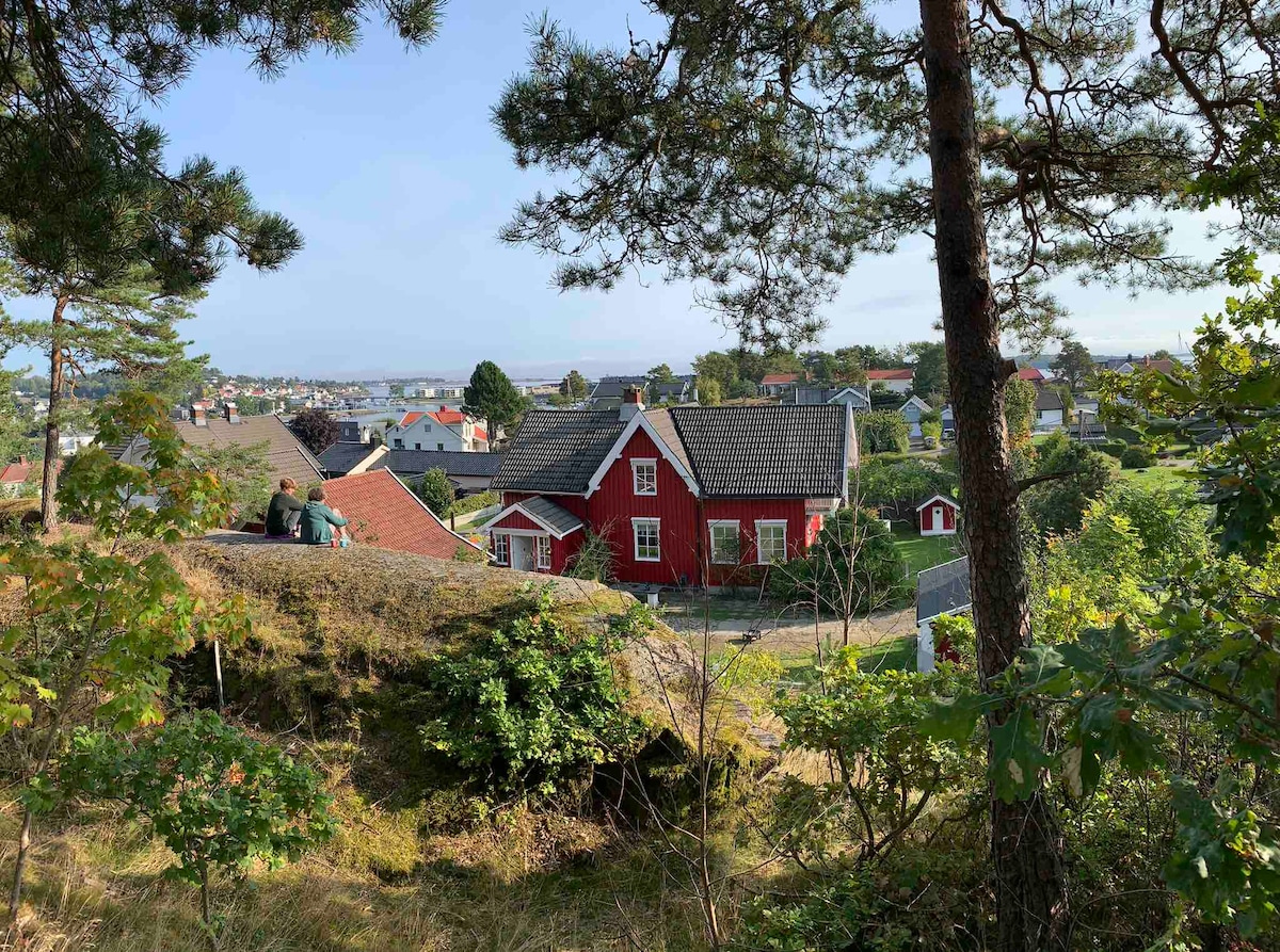 Husøy岛上田园诗般的传统房屋