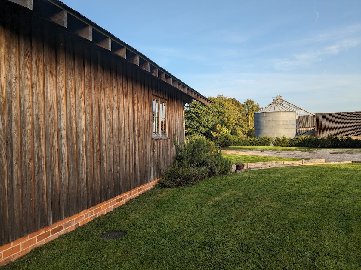 The Cabin in the country