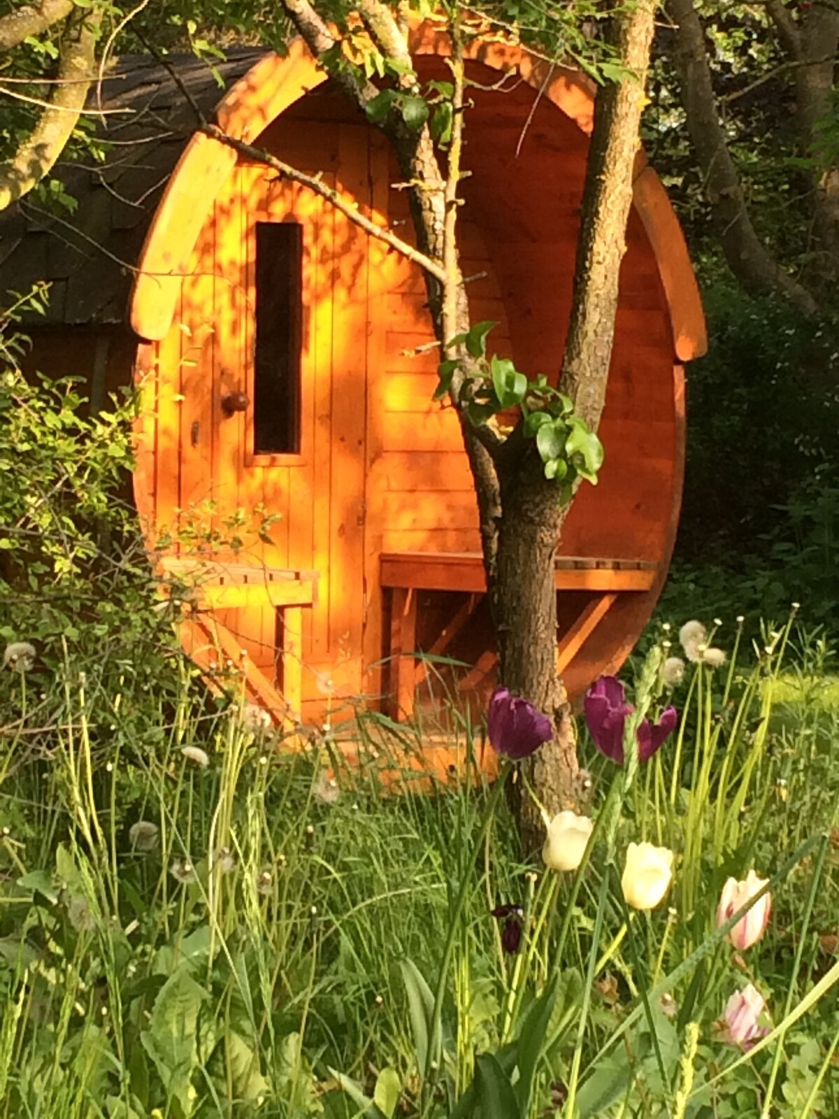 Uckermark Refuge – Idyll ，带花园桑拿房