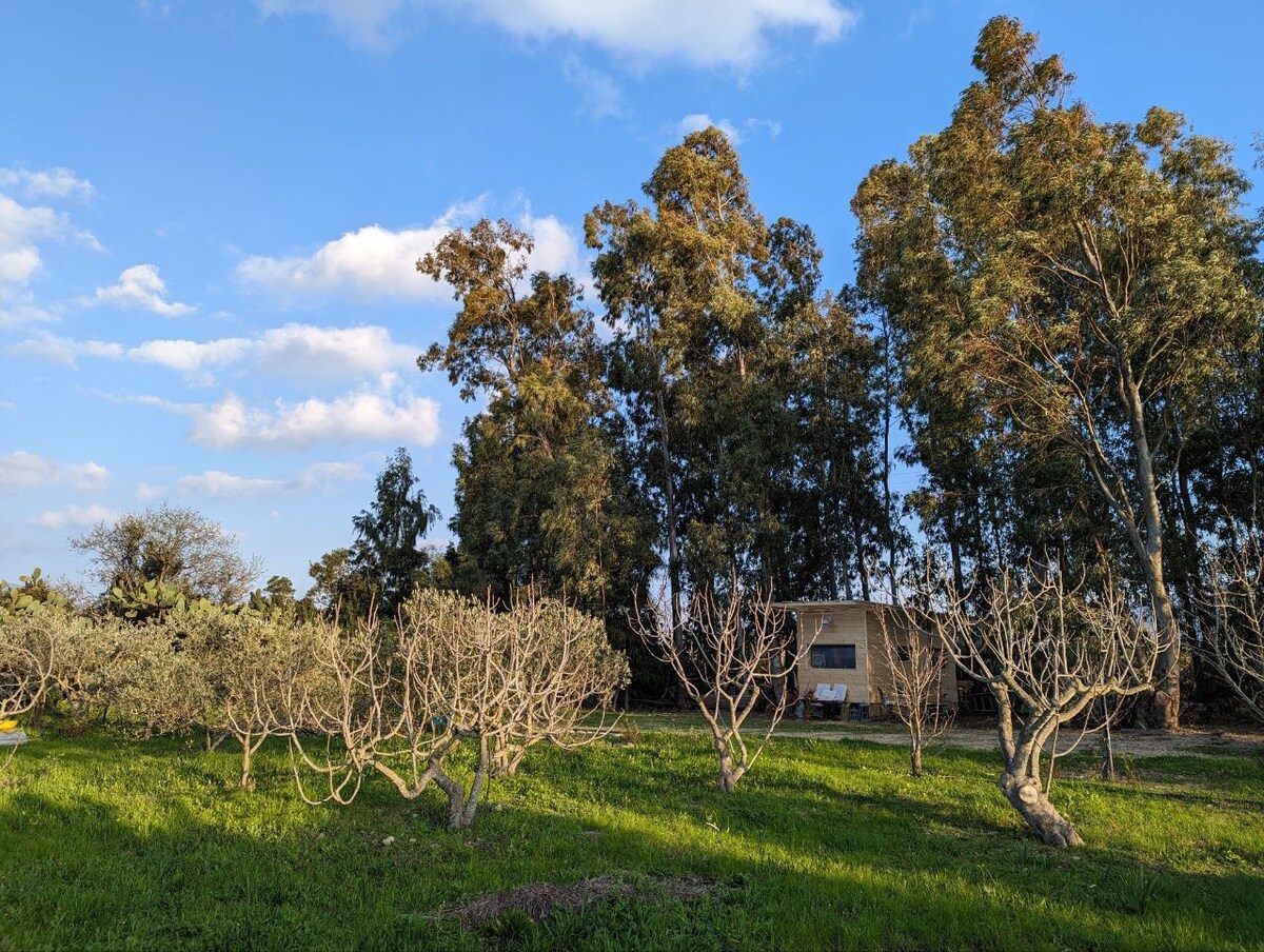 In Costa Smeralda, casetta nel bosco vicino Mare