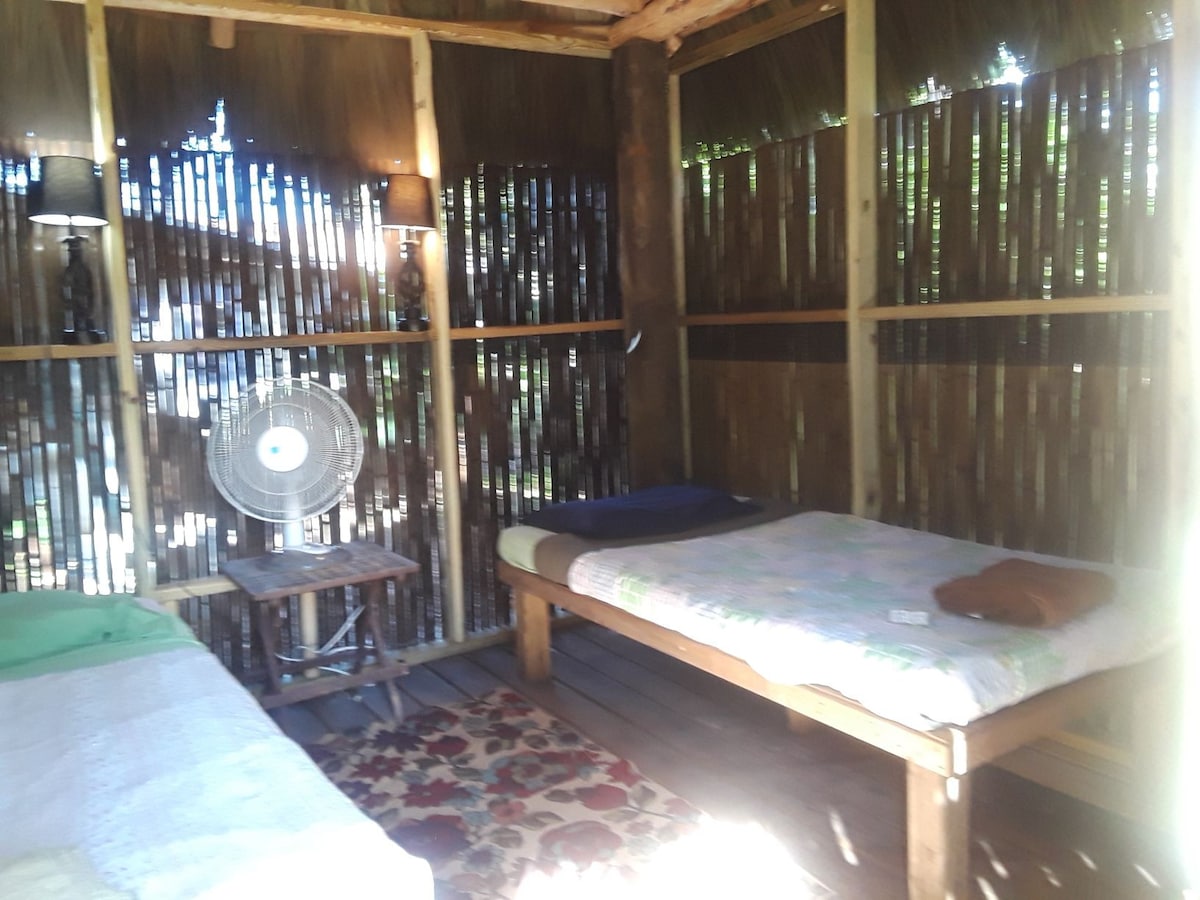 带吊床的Tiki小屋：都市农场动物收容所