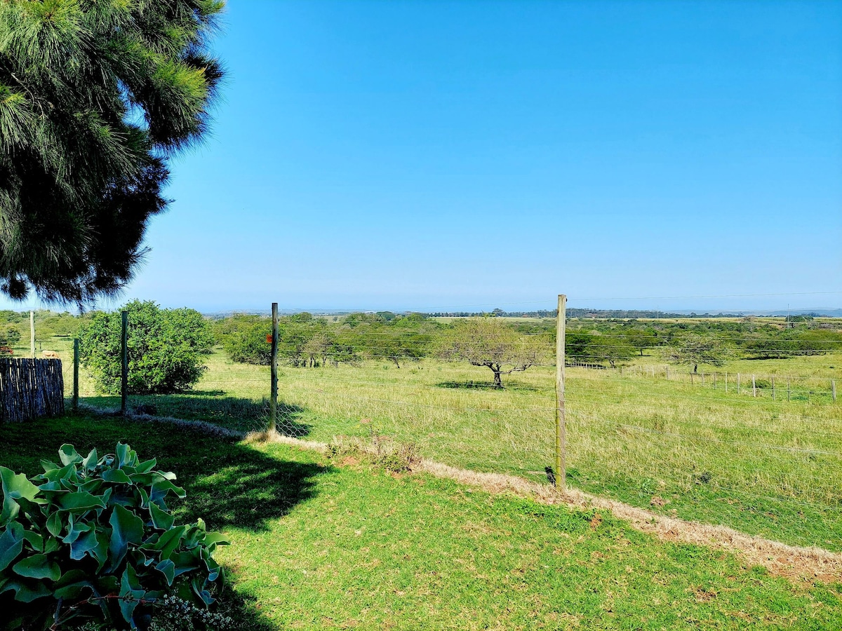 Impala - the Farmyard Cottage at Celtis Farm