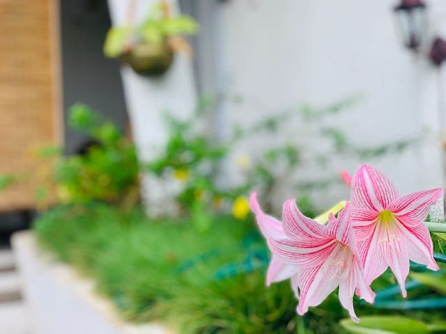 阿克拉的民宿