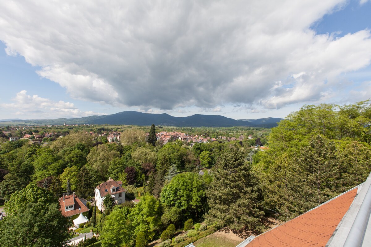 Loft分类3 * * * - Le Solarium au Clos St Odile