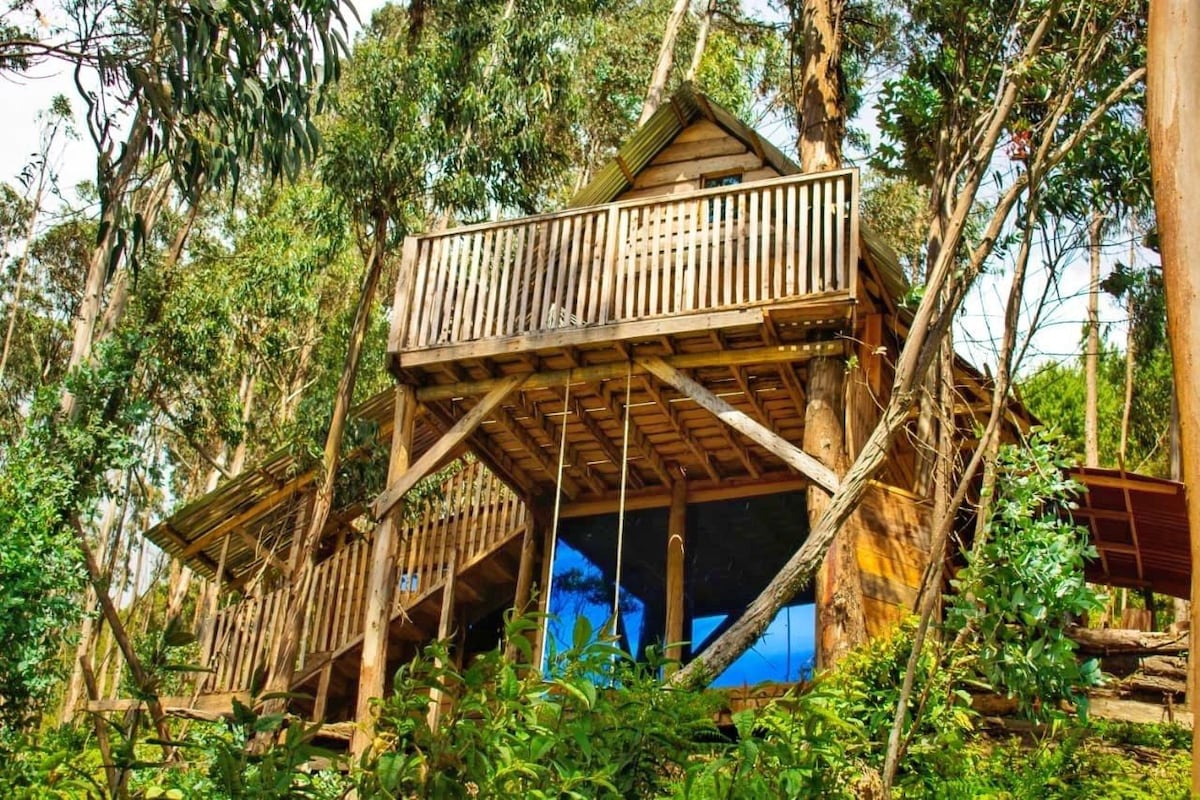 Cabaña en el árbol con vista al Embalse