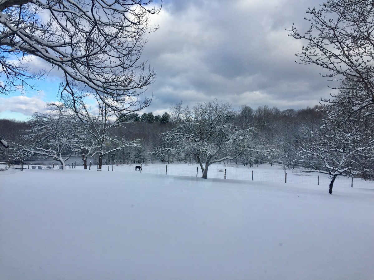 Woolly Acres Farm