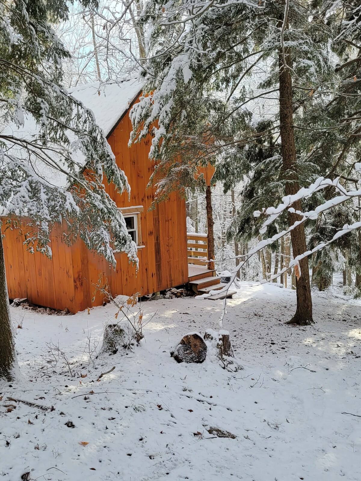 森林中的小屋。放松，呼吸，拔掉插头