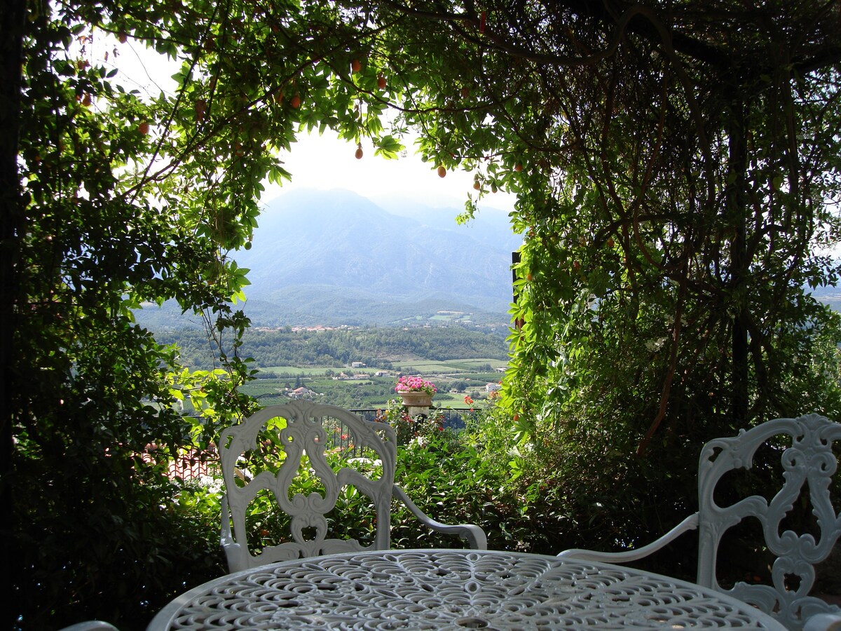 Vista Muntanya ，游泳池，令人惊叹的山景