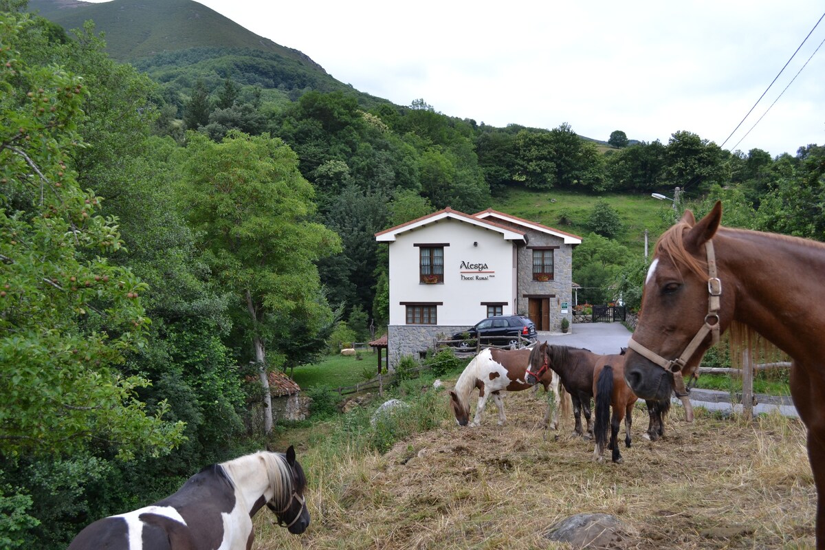 位于熊谷（ Valley of the Bear ）的双人房-阿斯图里亚斯（ Asturias ）