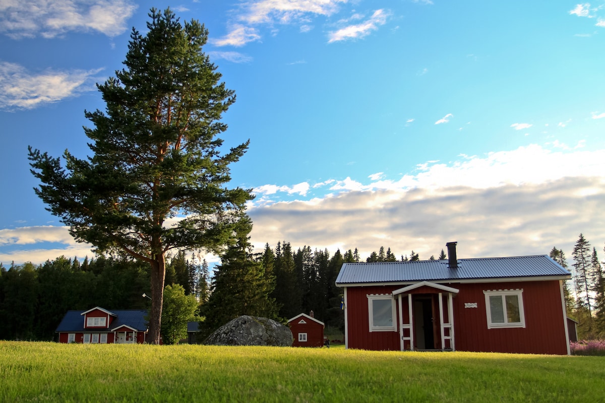 Cottages in Lapland - North of Sweden - RÖNNEN