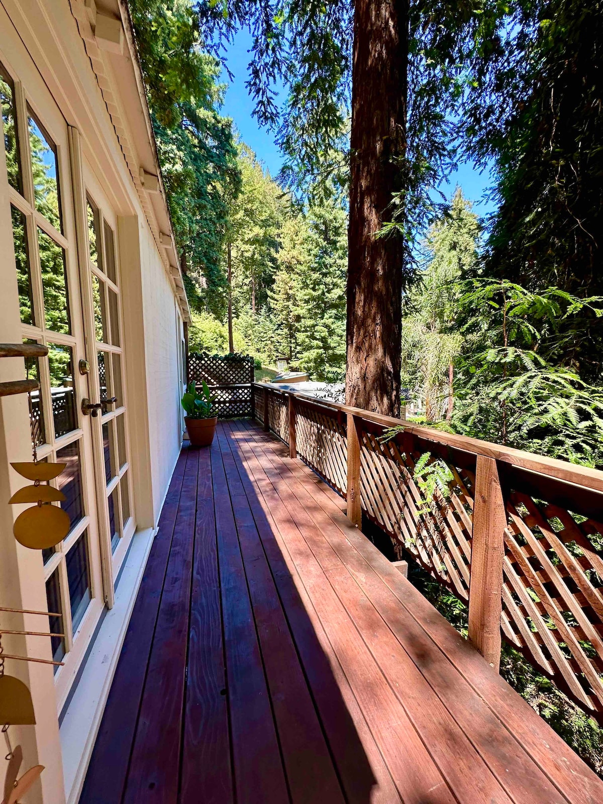 Redwood Treetop Cabin