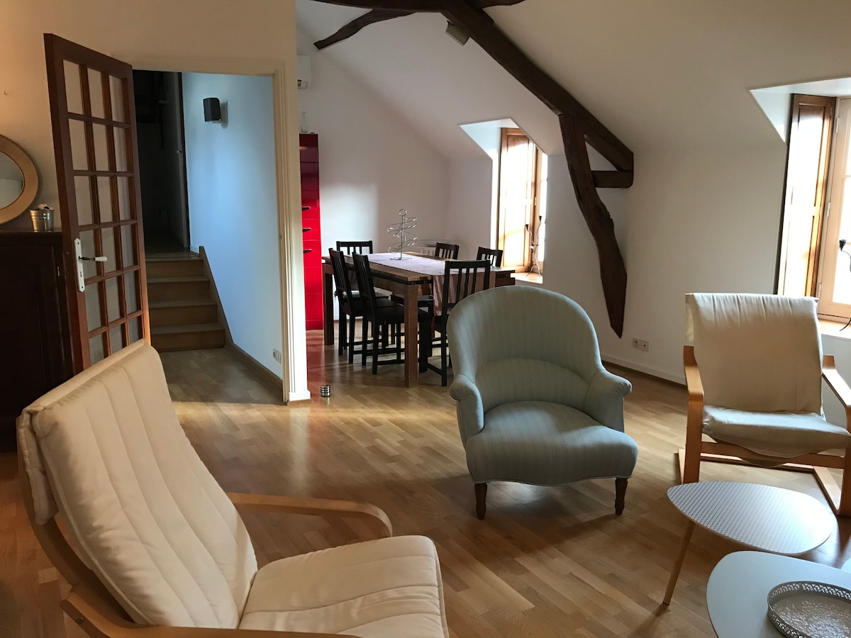 Appartement douillet, spacieux et convivial