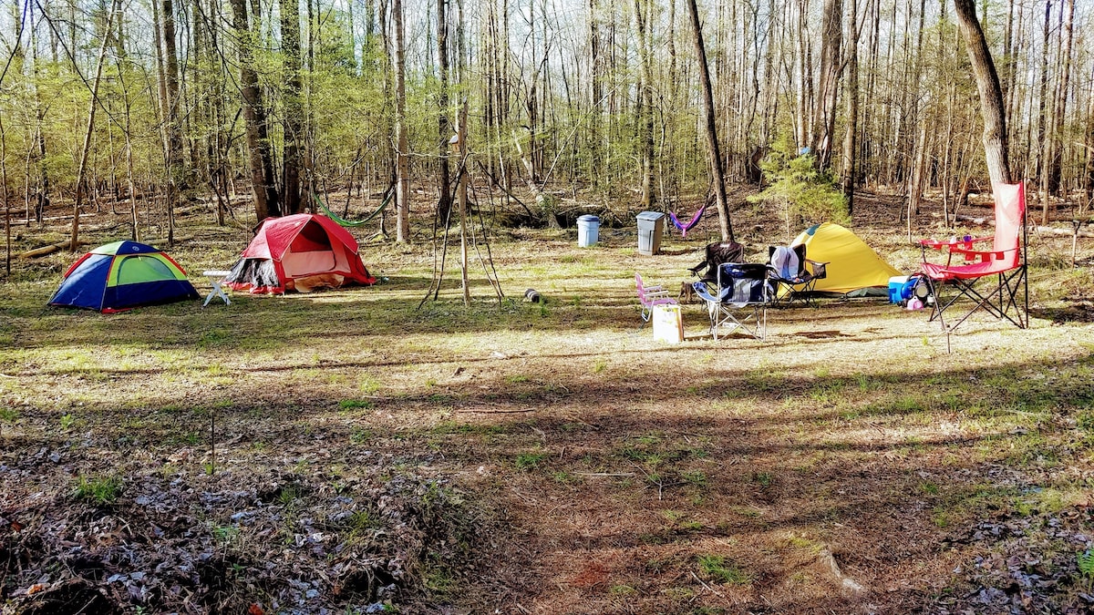 普里什蒂纳天堂林地度假屋露营地