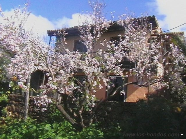 Bella casa per le vacanze con vista sul mare