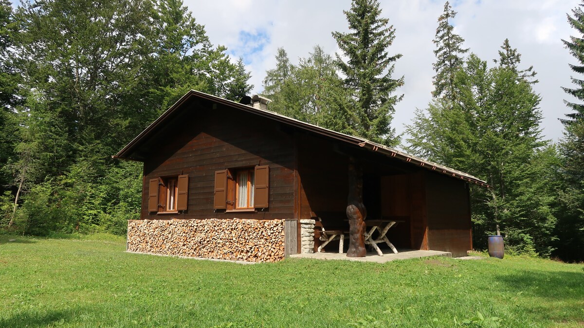 舒适乡村别墅Buchner Hütte