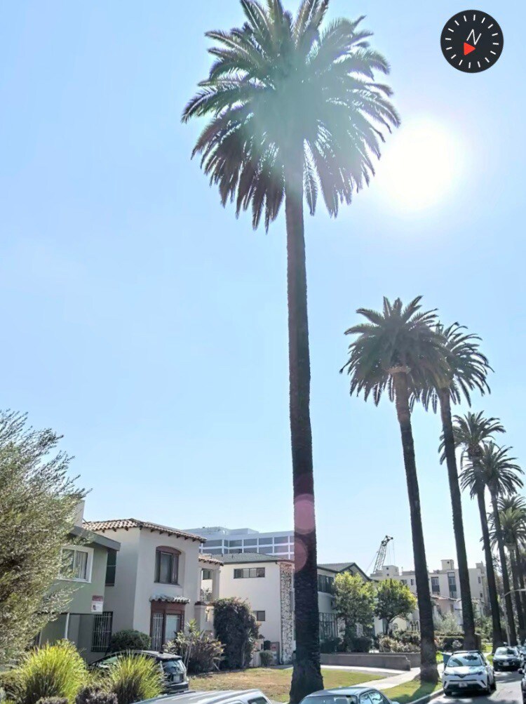 比弗利山庄（ Beverly Hills ）的美丽休闲公寓