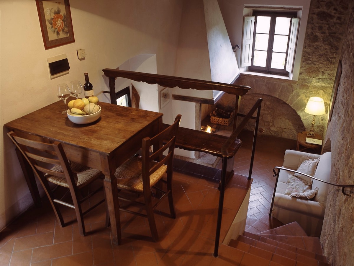 Pieve di Caminino Historic Farm - 2 p. apartment