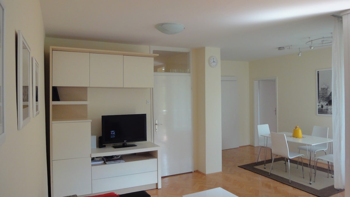 Sunny modern apartment,  clean and fully furnished