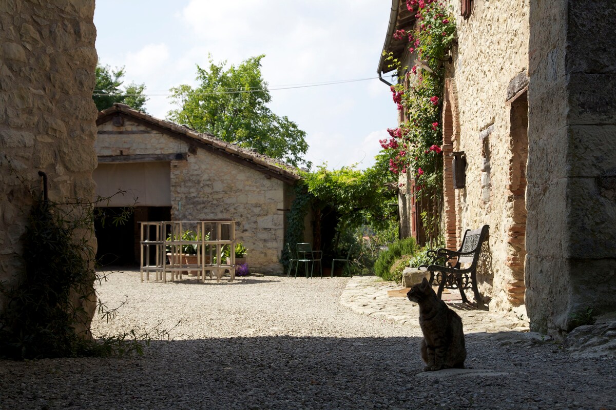 Fattoria Ca' Basinelli