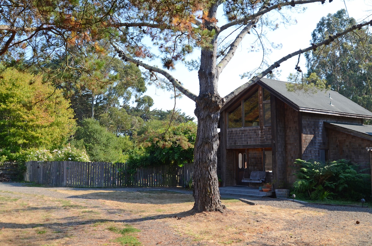 雷斯岬网球馆（ Point Reyes Tennis House ）