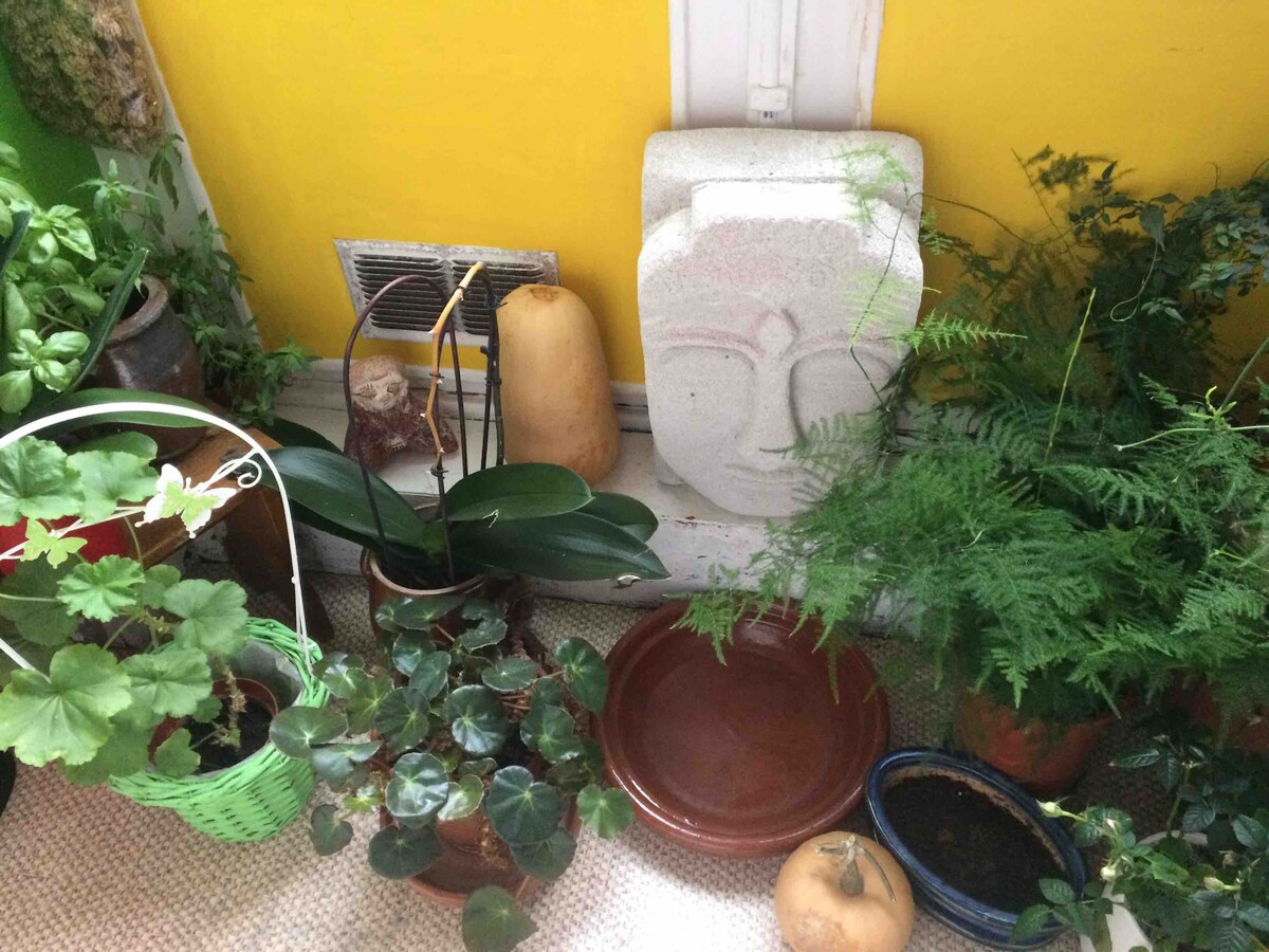 LILLE Jardin ds plants温馨舒适的房间