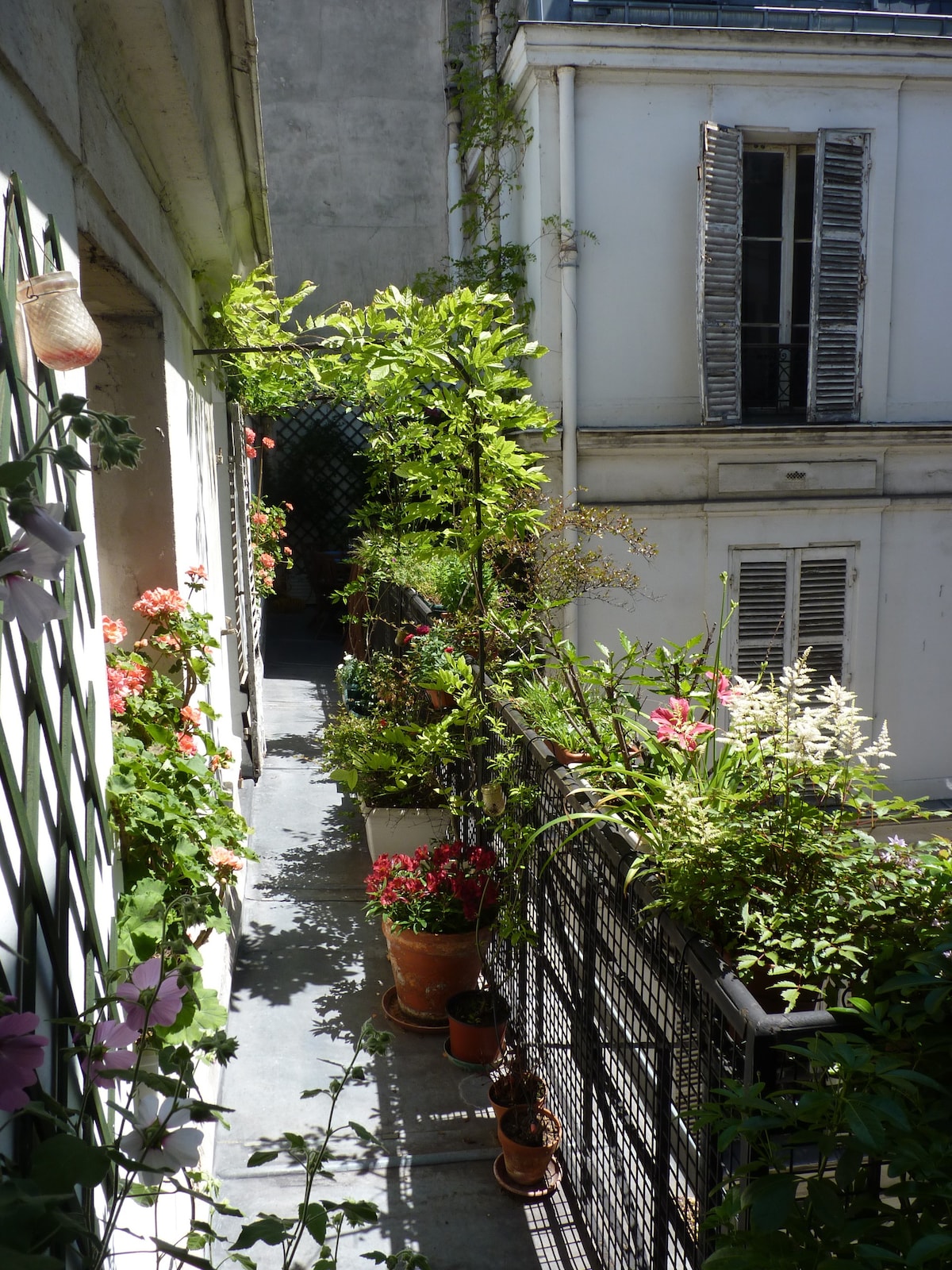 带露台的公寓，位于巴黎市中心