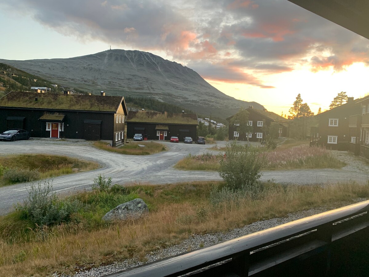 Utsikt Gaustatoppen. Ski inn-out. Solrik uteplass.