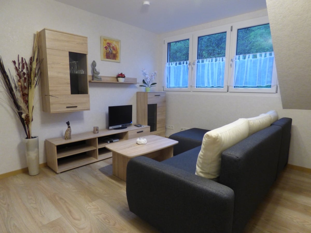 Ruhige Traumlage in Moselnähe neues modernes Appartement