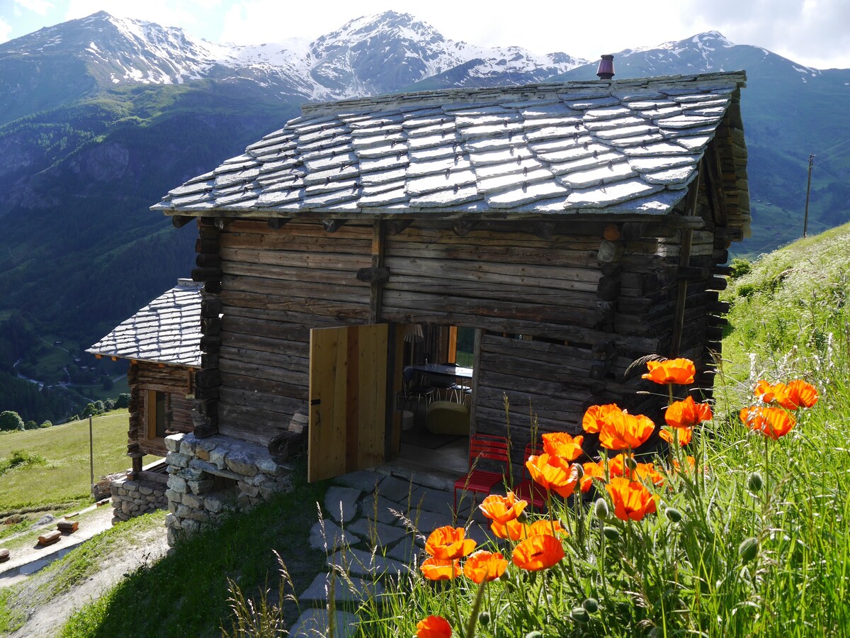 mayen in Etienne, Val d 'Hérens, Valais, Sion Switzerland