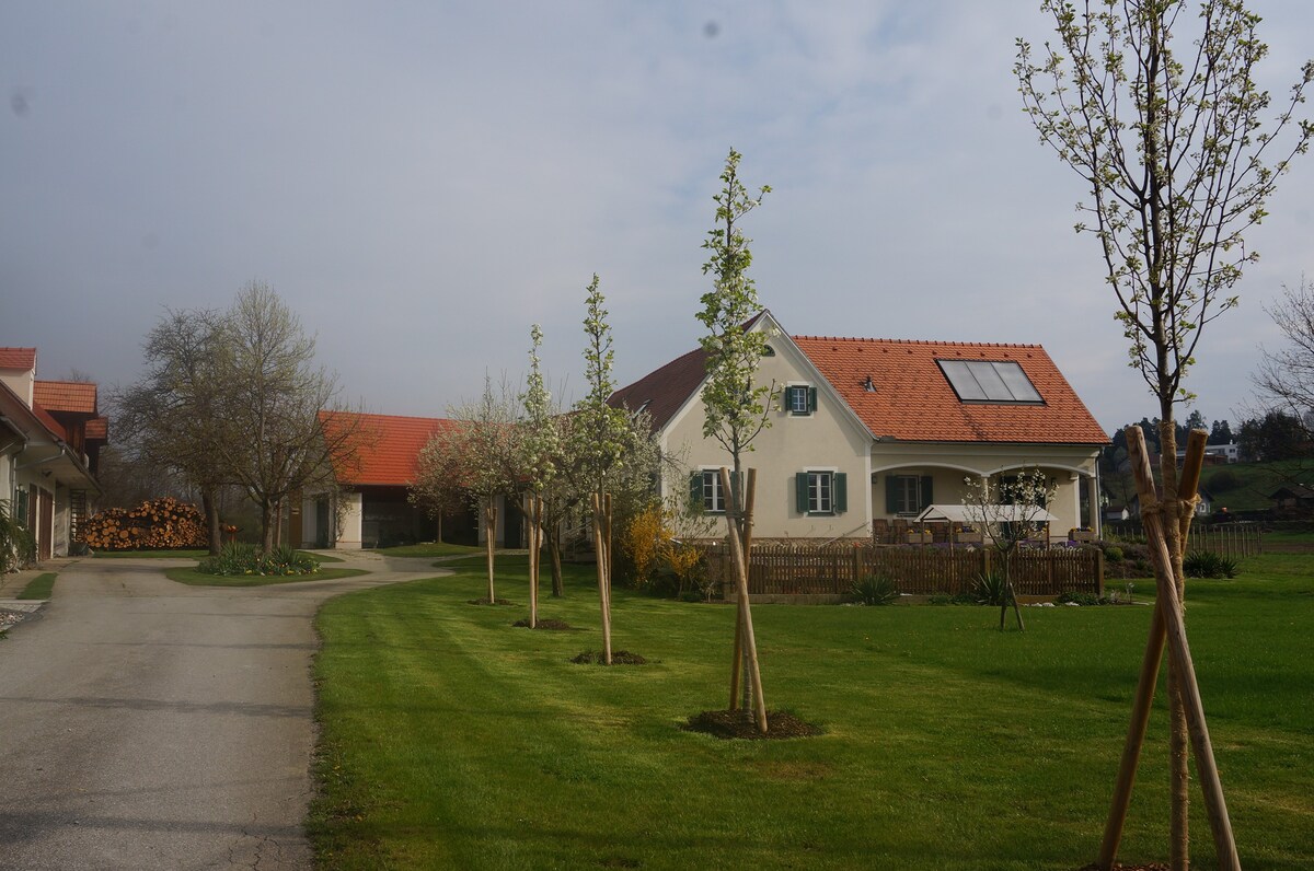 格拉茨附近的农舍，地理位置安静