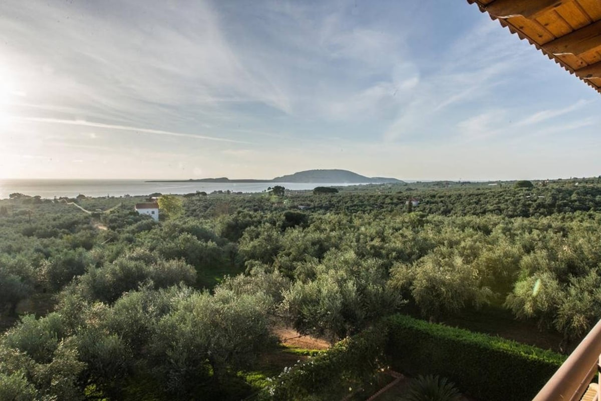 Seaview flat in an olive grove by the sandy beach