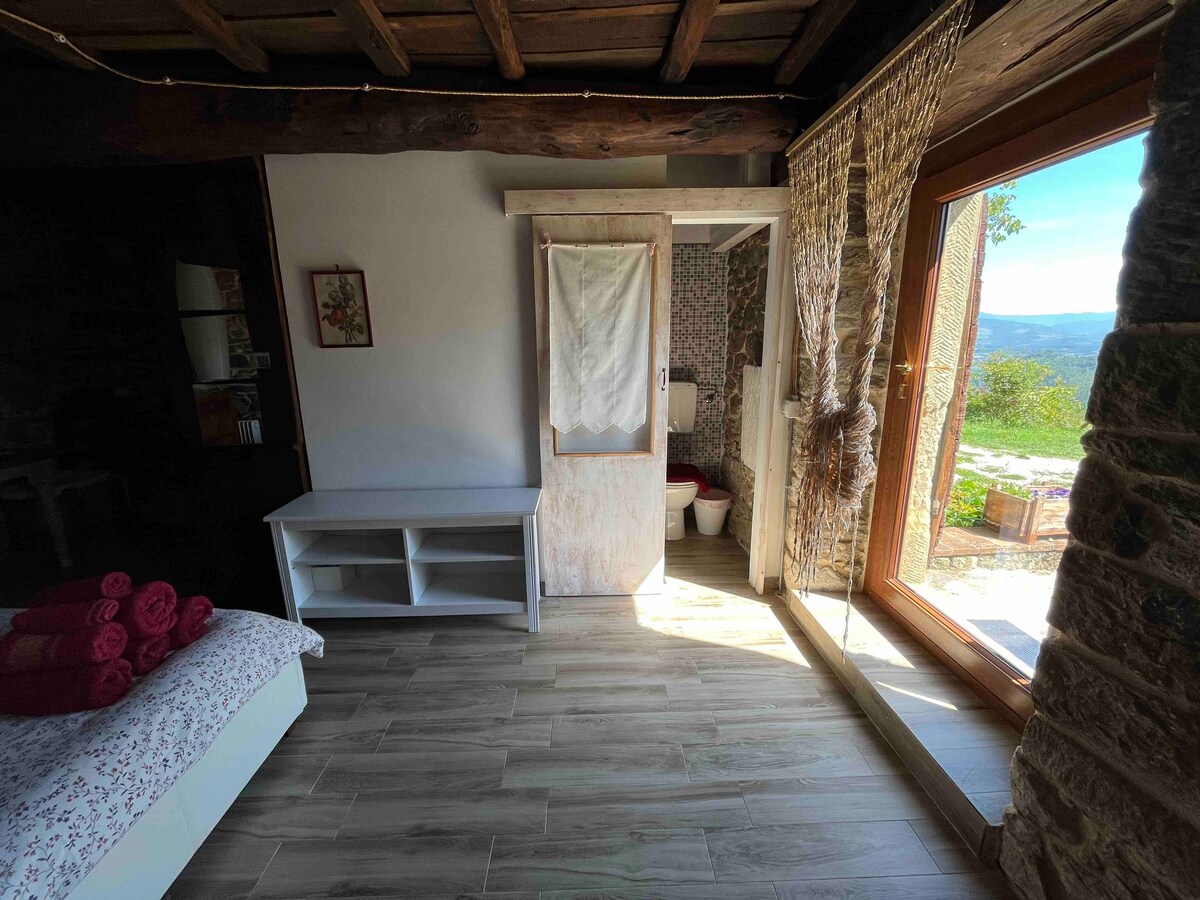 Studio in traditional Casale Lastri in the forest