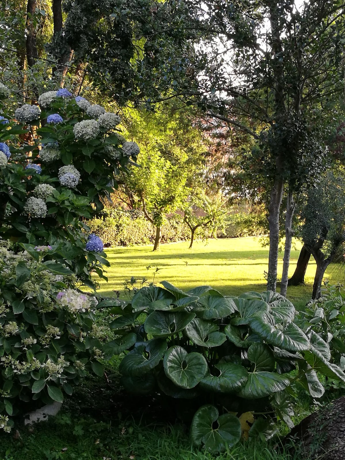 Lago di Vico Villa la Casa dei Daini