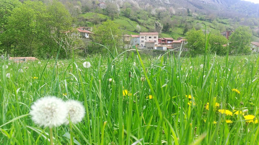 阿斯图里亚斯(Asturias)的民宿