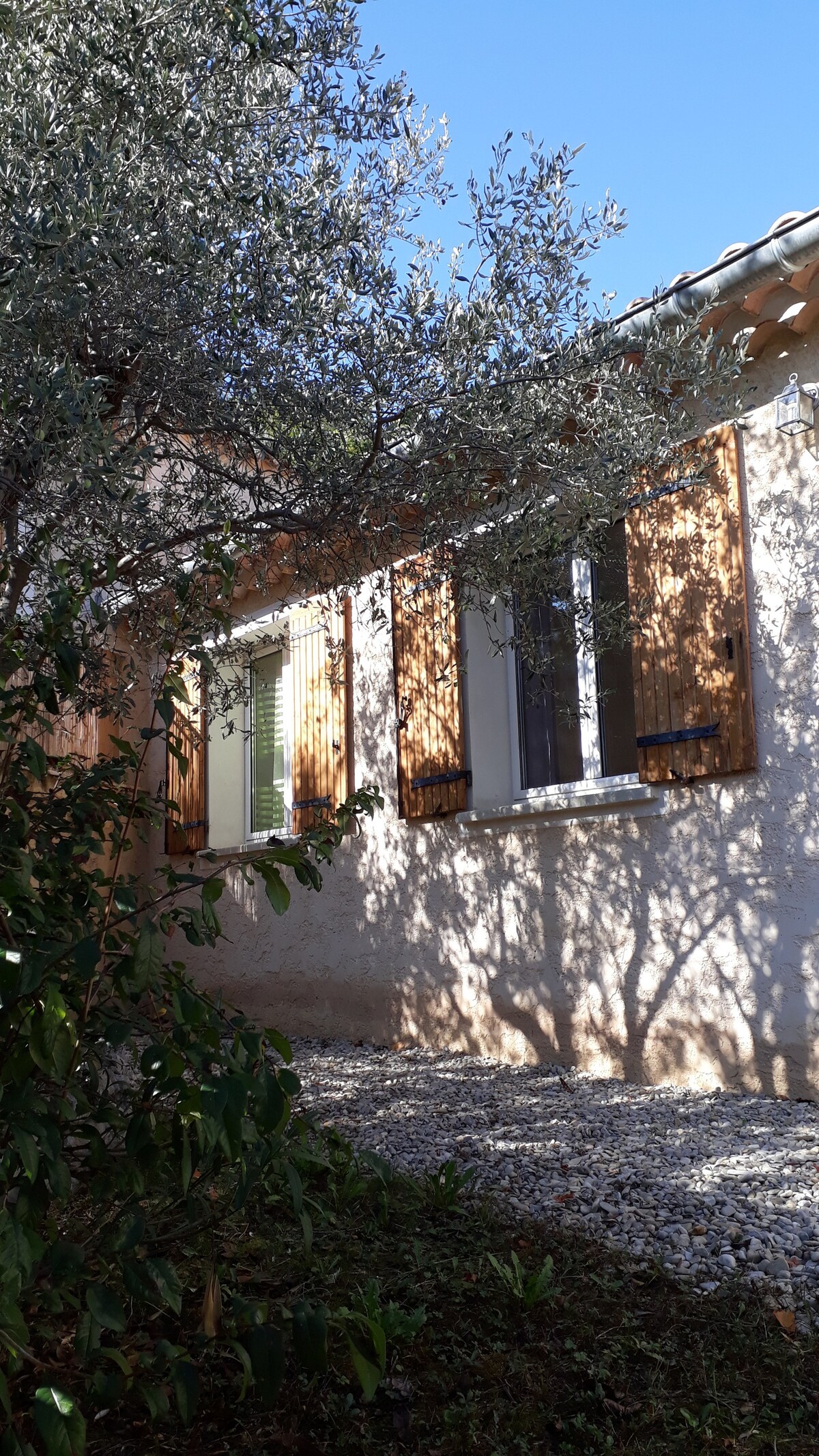 Fauvette别墅位于橄榄树中心地带