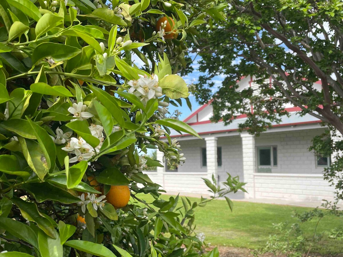 Unique Farm - Orchard Setting - Blossom Cottage