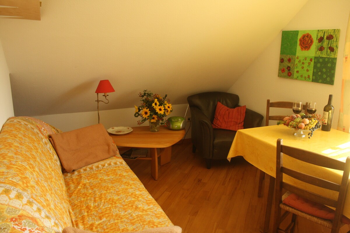 阳光明媚的双人房和带茶具的客厅