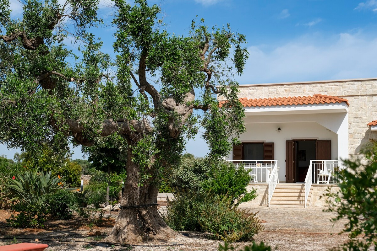 Villa in Monopoli for 4 guests near the sea.