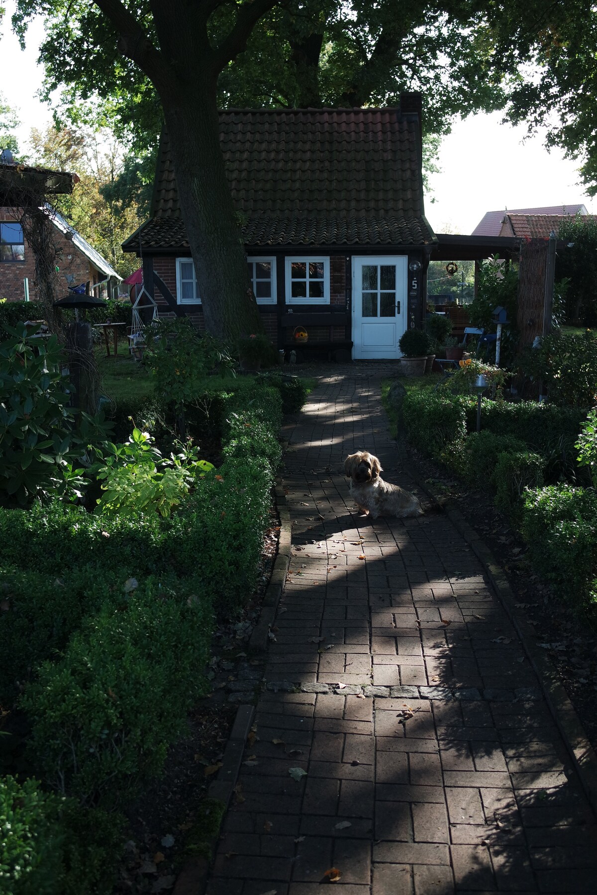 Kleines Backhaus für Naturliebhaber