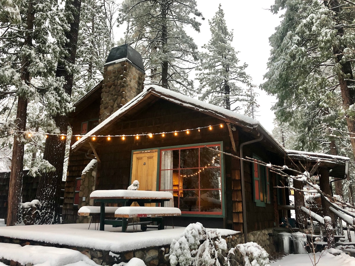 Historic Owl Pine Cabin: creek+town+nature