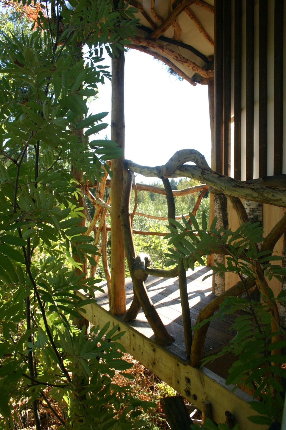 Bluesberry Woods Treehouse