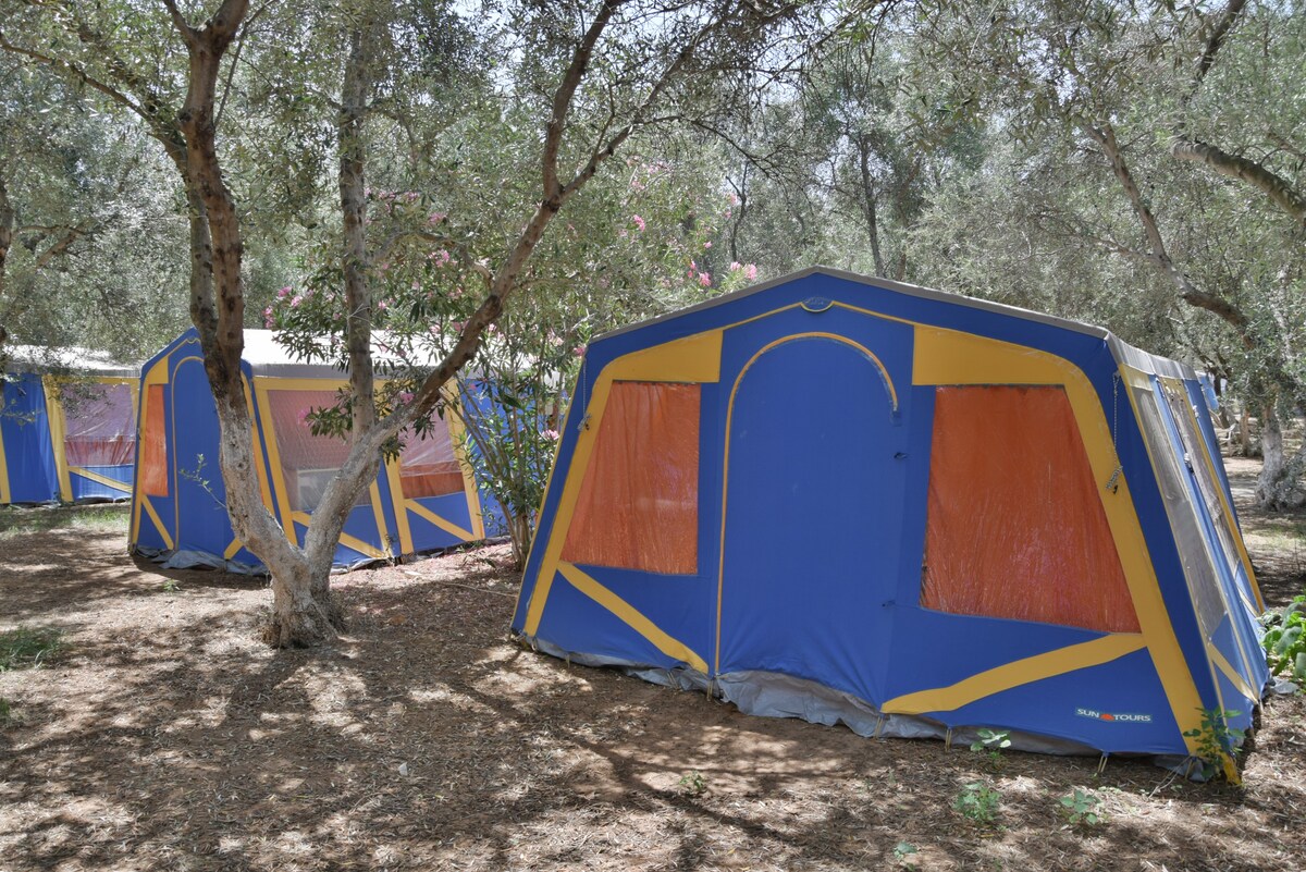 带家庭帐篷的露营体验