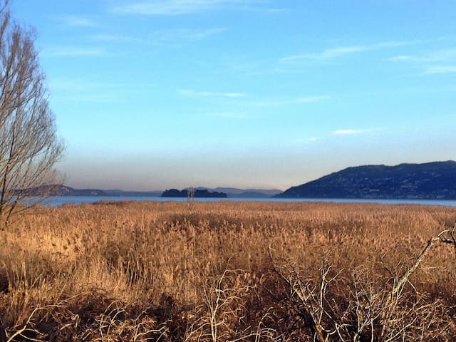 帕兰扎的民宿