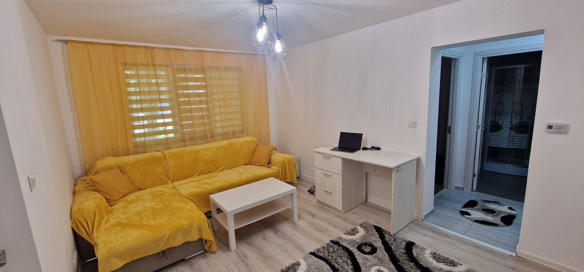 Apartament 2 camere mobilat.