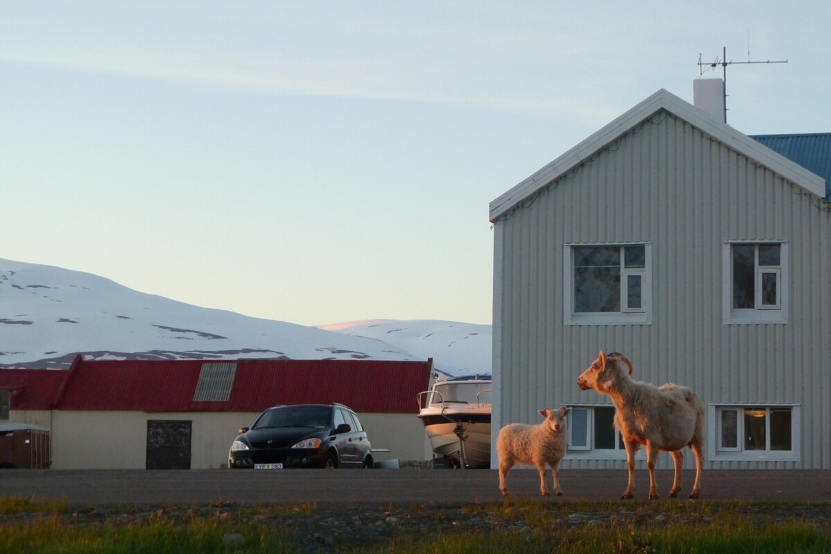 Cozy place at the seafront - Hauganes