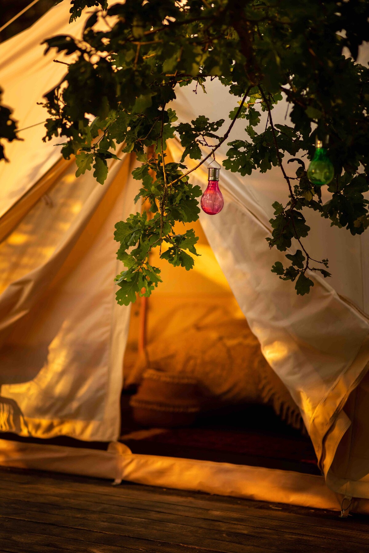 Glamping in bell tent in untouched nature - DUB